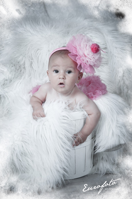 Bebés